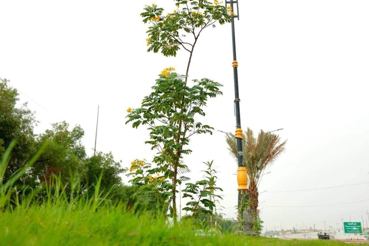 بالصور |الامطار تزين شوارع الكوفة في النجف الأشرف.