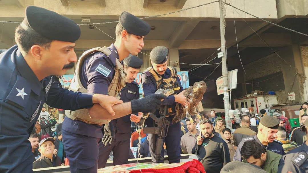 العراق يطلق حملة لمصادرة الطيور والحيوانات المهددة بالانقراض في سوق الغزل.