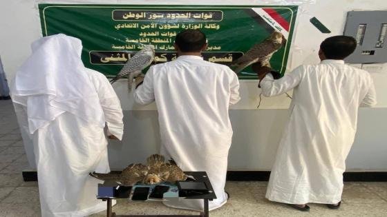 القبض على ثلاثة صيادين كويتيين في بادية المثنى؛ بعد ضبطهم مع ثلاثة صقور لمخالفتهم قوانين الصيد ودخول الأجانب إلى العراق.